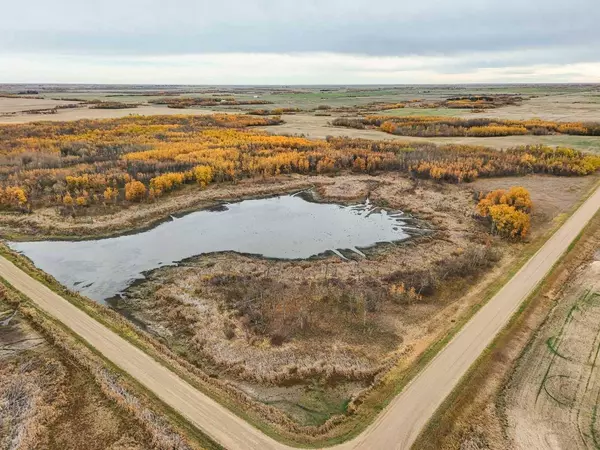 NW 4-43-4-W4, Rural Camrose County, AB T0B 1H0