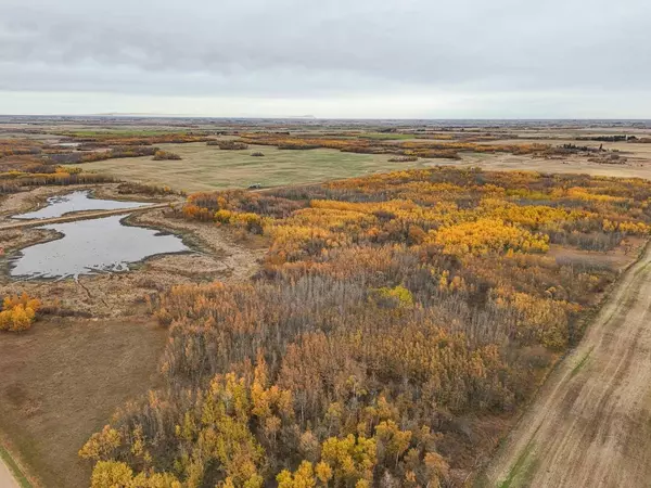 NW 4-43-4-W4, Rural Camrose County, AB T0B 1H0