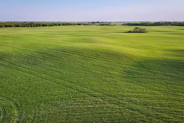 9-43-18-W4, Rural Camrose County, AB T0B 1H0