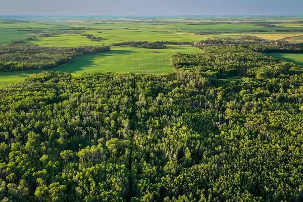 9-43-18-W4, Rural Camrose County, AB T0B 1H0