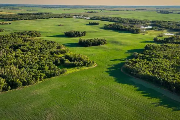 9-43-18-W4, Rural Camrose County, AB T0B 1H0