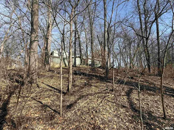 100 THRUSH AVE, Pekin, IL 61554