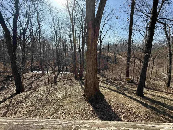 100 THRUSH AVE, Pekin, IL 61554