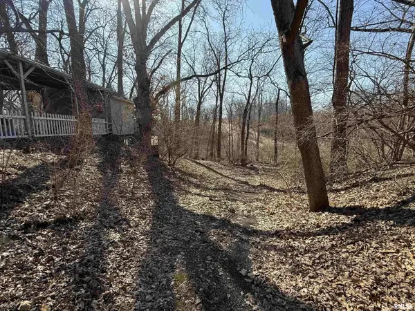 100 THRUSH AVE, Pekin, IL 61554