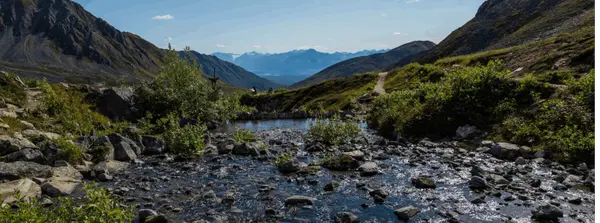 feature image of The July Advantage: Buying and Selling in Alaska