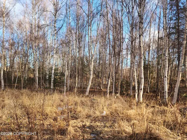 3100 E Pamela DR, Wasilla, AK 99654