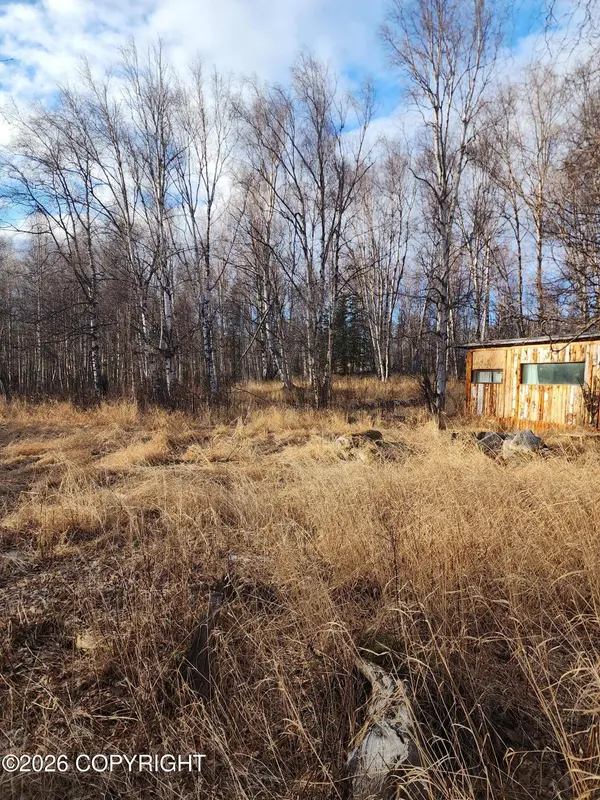 3100 E Pamela DR, Wasilla, AK 99654