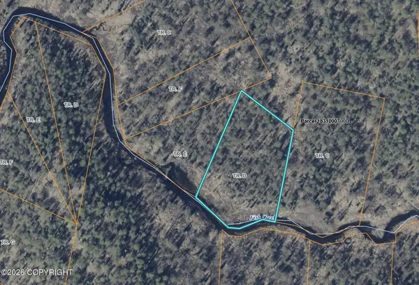 NHN Tr D No Road, Willow, AK 99688