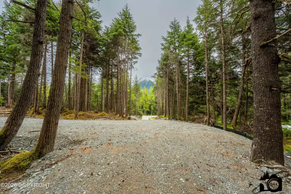 168 Meskenik WAY, Girdwood, AK 99587