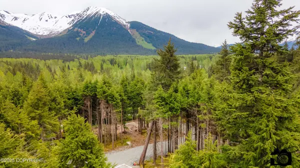 168 Meskenik WAY, Girdwood, AK 99587