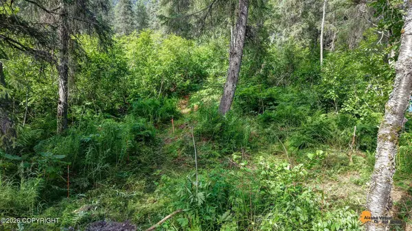 1917 Alyeska HWY, Girdwood, AK 99587