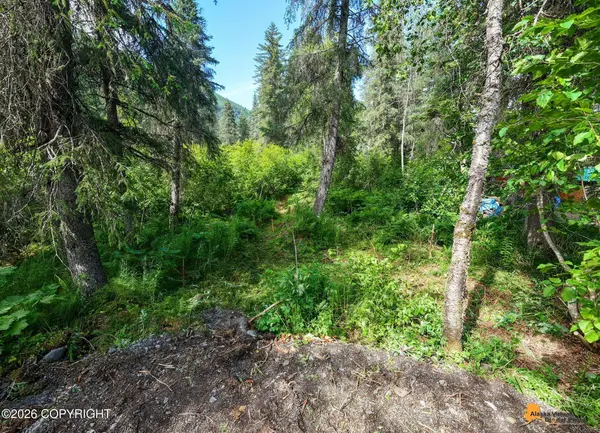 1917 Alyeska HWY, Girdwood, AK 99587