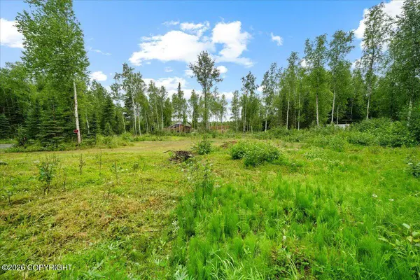 781 N Tammy LN, Wasilla, AK 99623