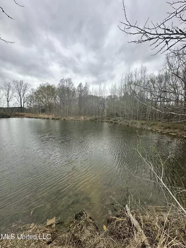 523 Abernathy Road, Flora, MS 39071