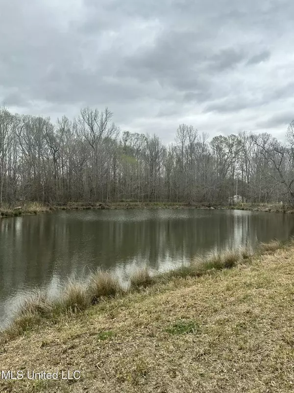 523 Abernathy Road, Flora, MS 39071