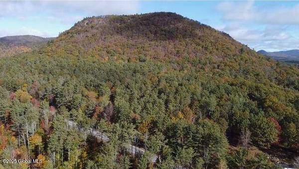 L32.10 N Shore Road, Hadley, NY 12835