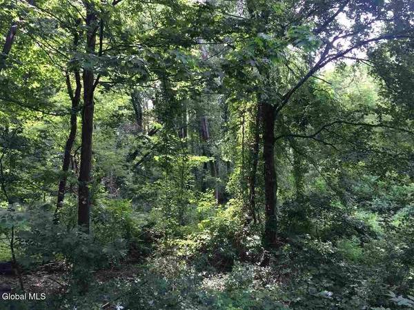 98 Pollock Road, Colonie, NY 12110