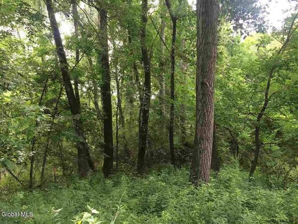 98 Pollock Road, Colonie, NY 12110