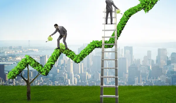 Investment Trends & Market Growth in Belize,REMAX DORADO