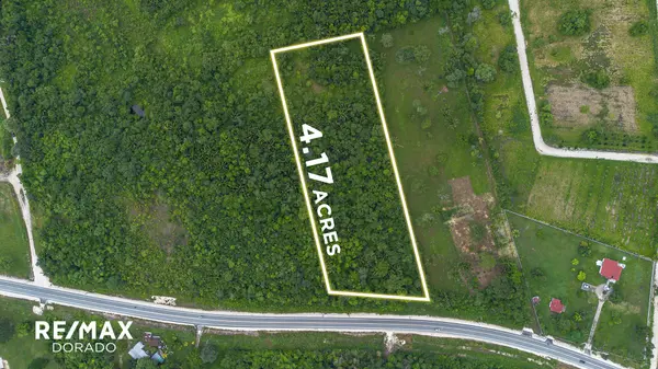 PRIME 4.17 ACRES -George Price Highway #2997233, San Ignacio,