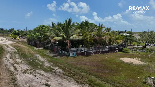 Silk Grass, Corner Lot - Stann Creek,