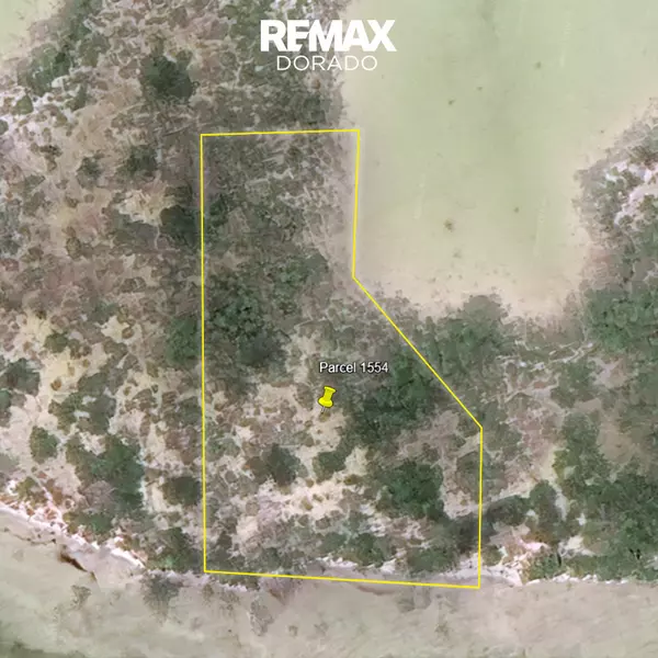 Sarteneja,,PRIME Beachfront Lot - 1.54 ACRES