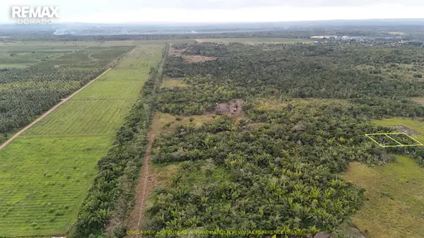 AFFORDABLE LAND ALERT - Cotton Tree Village - Only $6, 000 Usd Per Lot!,