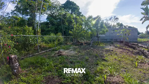 Prime Residential Lot for Sale – Punta Gorda Town,