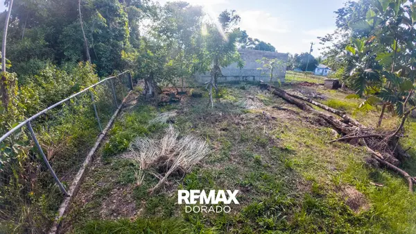 Prime Residential Lot for Sale – Punta Gorda Town