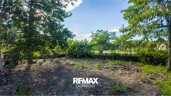 Prime Residential Lot for Sale – Punta Gorda Town