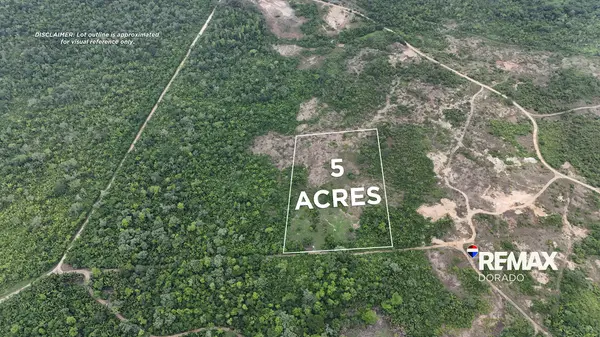 🌿 5.29 Acres, Road Frontage - Camalote, 🌿