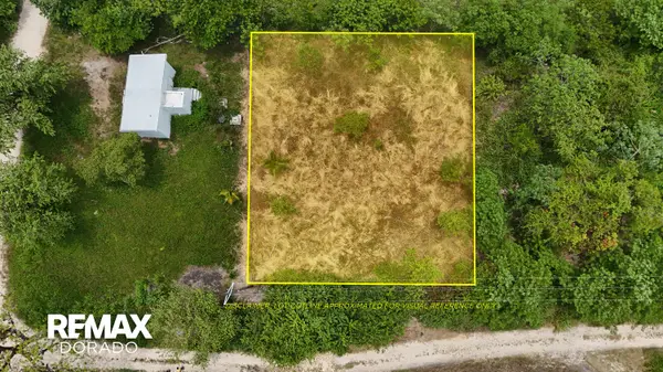 Own Land in Cayo for $25K — Perfect First Purchase, Utilities Already In,