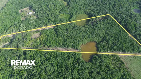 28.92-Acre Farm & Cattle Property — Near Santa Martha, Orange Walk District,