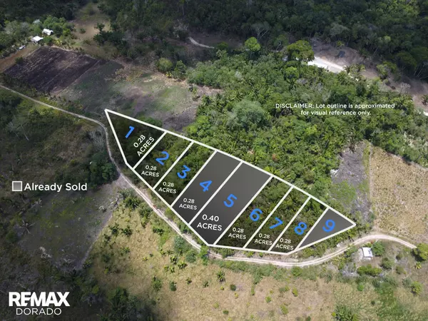 Hummingbird Highway,,Agua Viva Subdivision