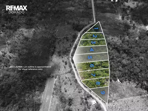 Hummingbird Highway,,Agua Viva Subdivision