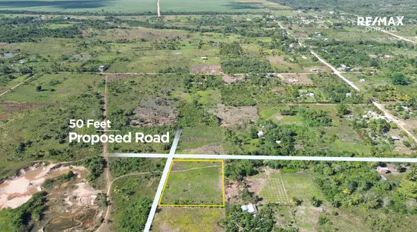 .98 Acres Harmonyville, 20 Minutes To Belmopan,