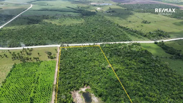 Cayo District,,24.39 Acres Farmer's Express Road
