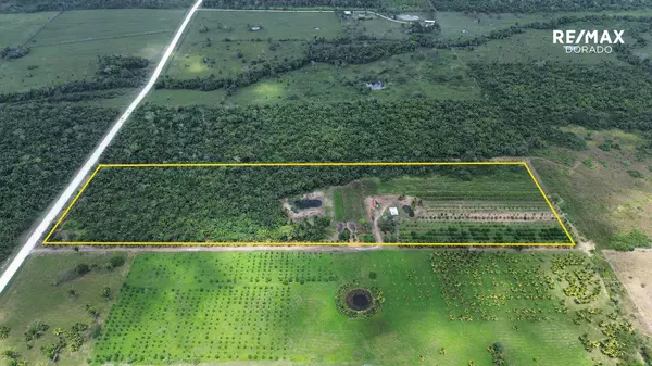 Cayo District,,24.39 Acres Farmer's Express Road