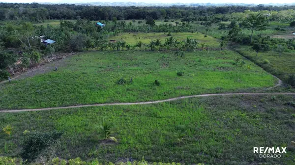.98 Acres Harmonyville, 20 Minutes To Belmopan,