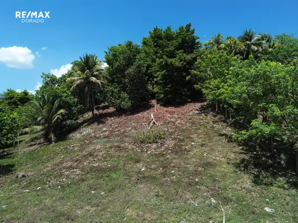 Half Acre Property on a Hill, Ontario Village, District