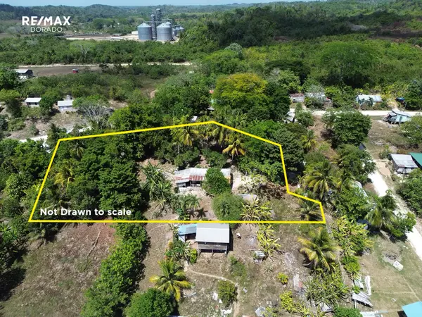 Ontario Village, District,Half Acre Property on a Hill