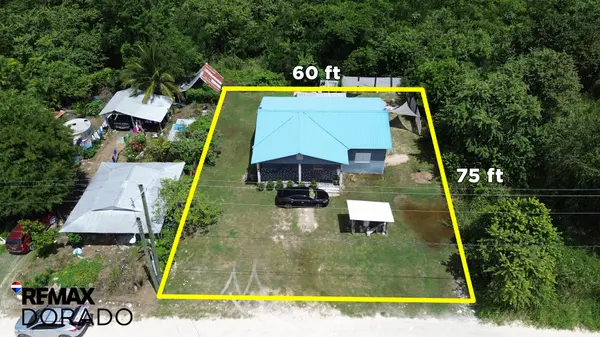 Pettville, Orange Walk Town, C.A.