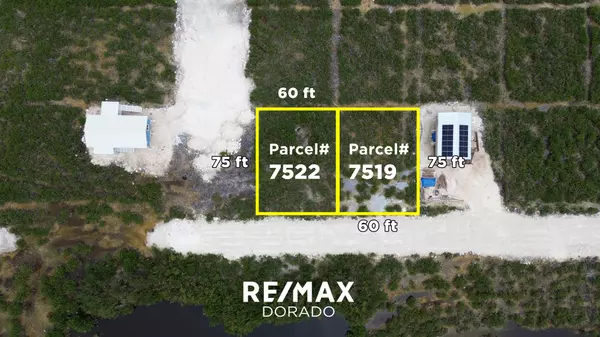 Ambergris Caye,,Grand Belizean Estates