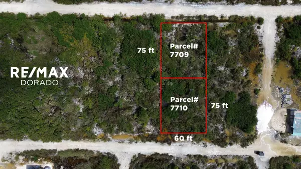 Ambergris Caye,,Grand Belizean Estates