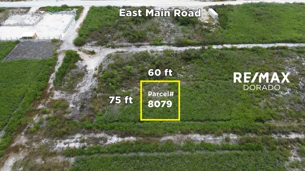 Ambergris Caye,,Grand Belizean Estates