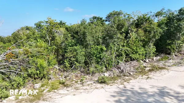 Side by side properties at secret beach Properties