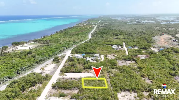 Invest In The Path Of Development,,Affordable Investment opportunity Parcel 11428 North San Pedro Town