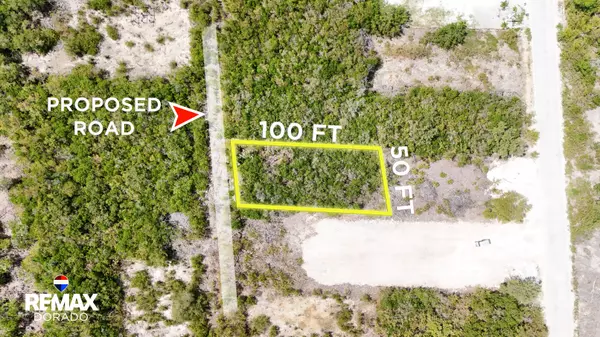 Invest In The Path Of Development,,Affordable Investment opportunity Parcel 11428 North San Pedro Town