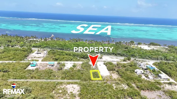 Affordable Investment opportunity Parcel 11428 North San Pedro Town, Invest In The Path Of Development,