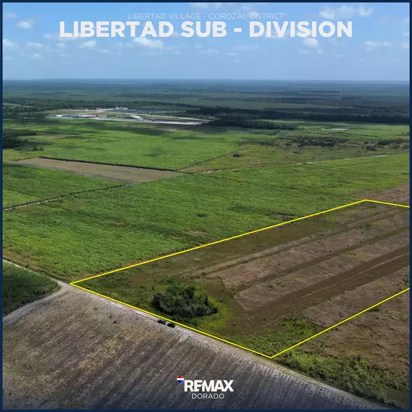 Libertad Subdivision Corozal #0